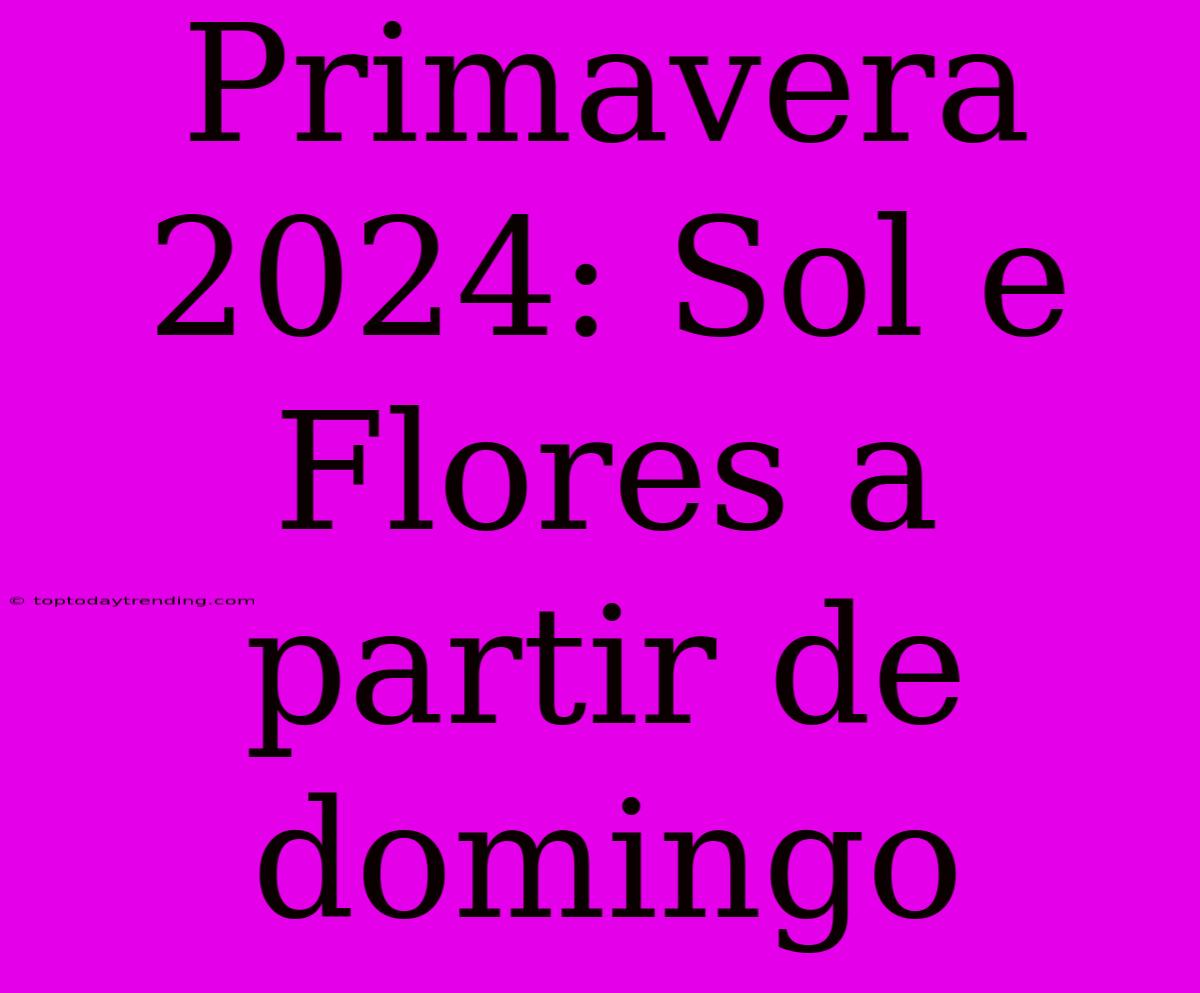 Primavera 2024: Sol E Flores A Partir De Domingo