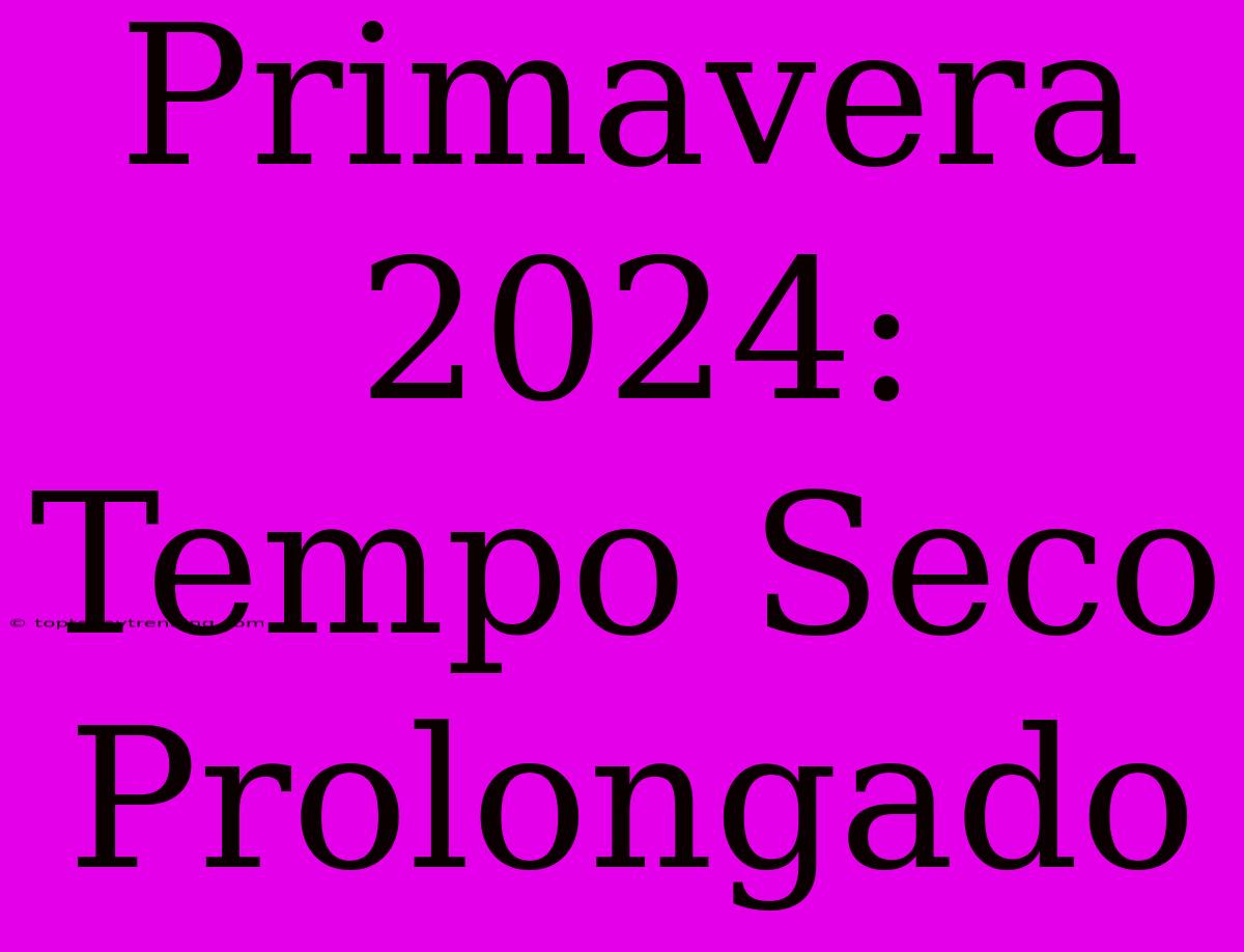 Primavera 2024: Tempo Seco Prolongado