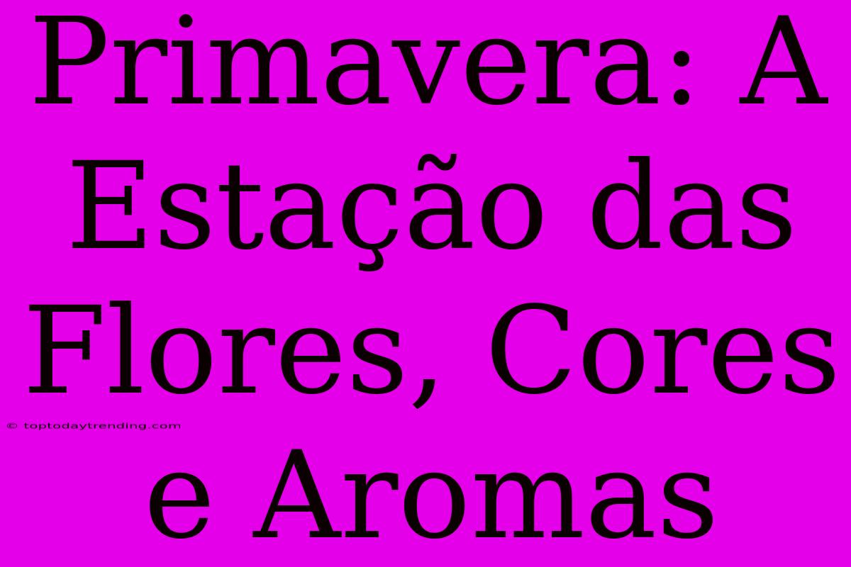 Primavera: A Estação Das Flores, Cores E Aromas