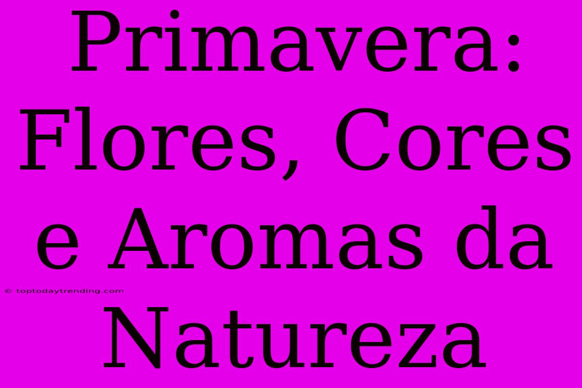 Primavera: Flores, Cores E Aromas Da Natureza