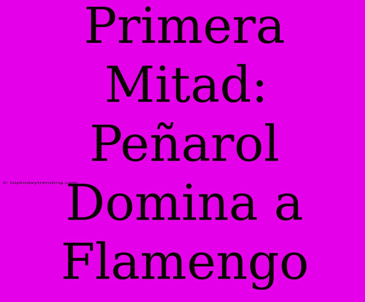 Primera Mitad: Peñarol Domina A Flamengo