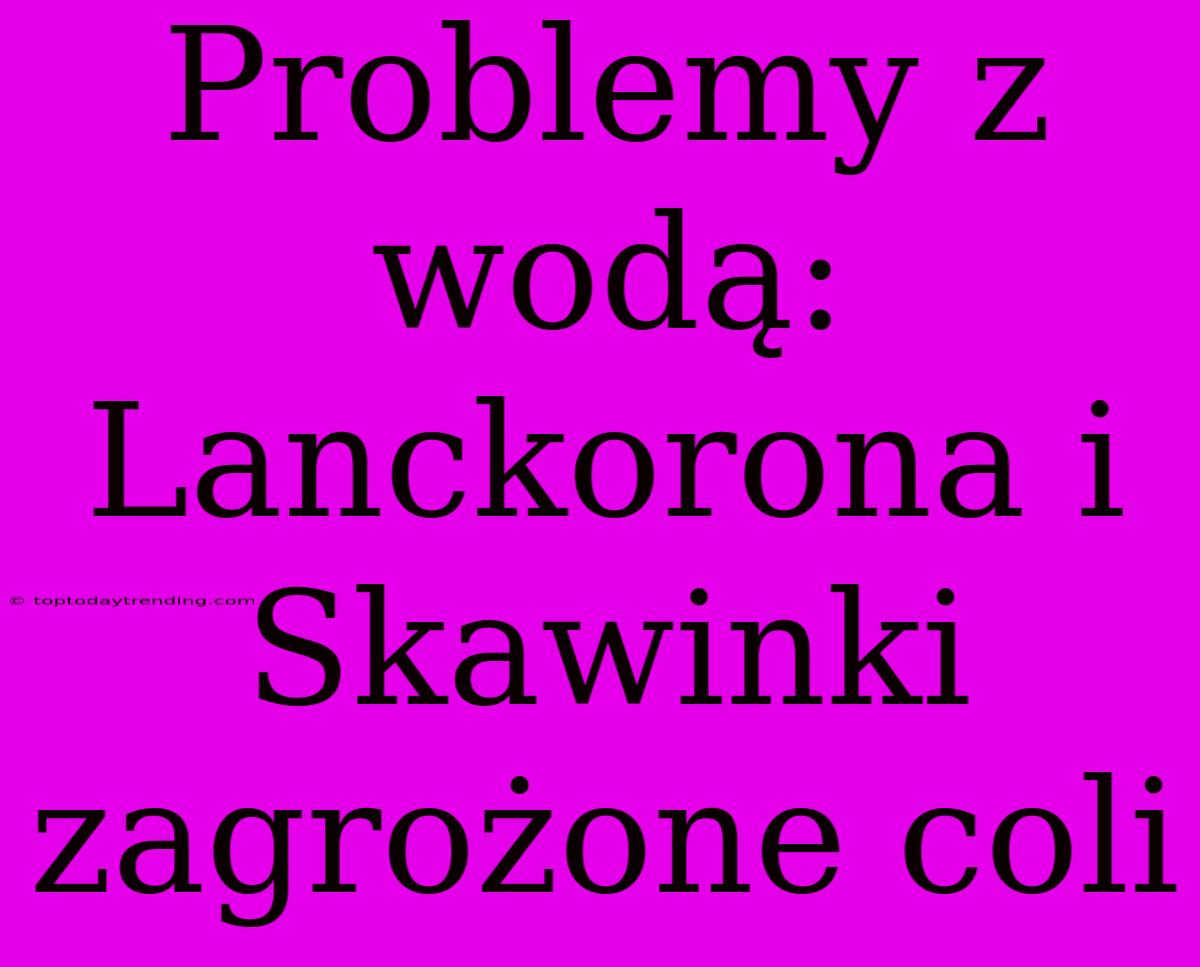 Problemy Z Wodą: Lanckorona I Skawinki Zagrożone Coli