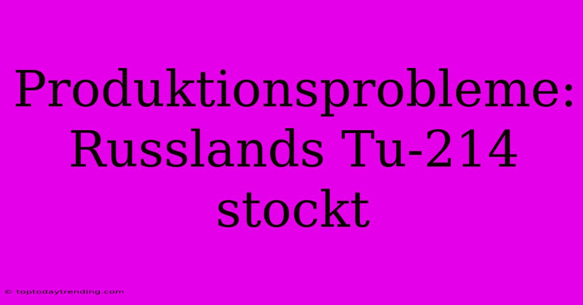 Produktionsprobleme: Russlands Tu-214 Stockt