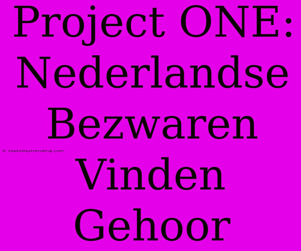 Project ONE: Nederlandse Bezwaren Vinden Gehoor