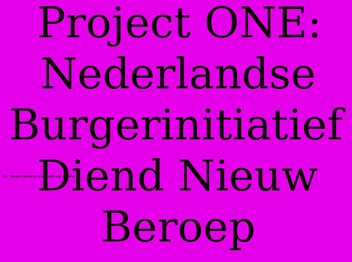 Project ONE: Nederlandse Burgerinitiatief Diend Nieuw Beroep