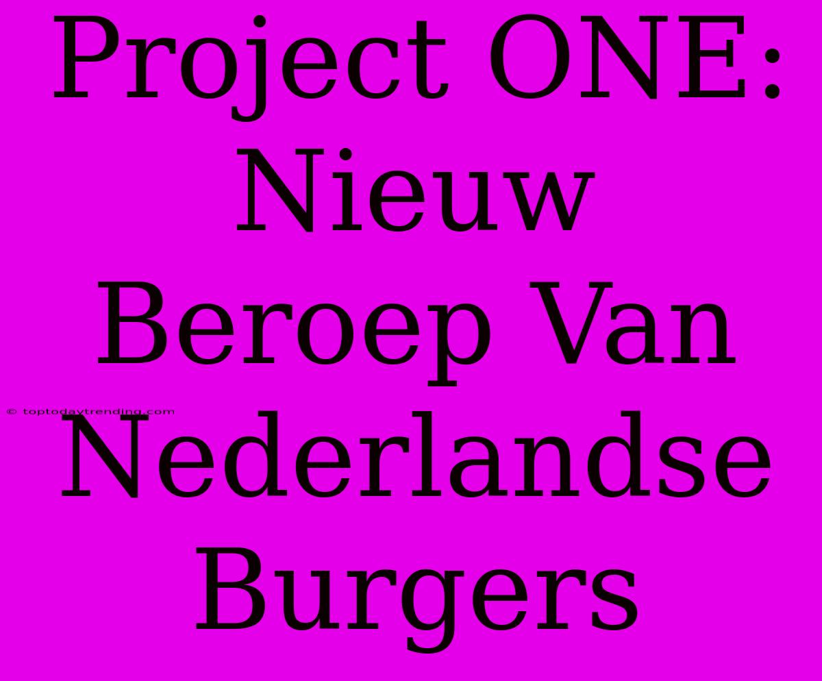 Project ONE: Nieuw Beroep Van Nederlandse Burgers