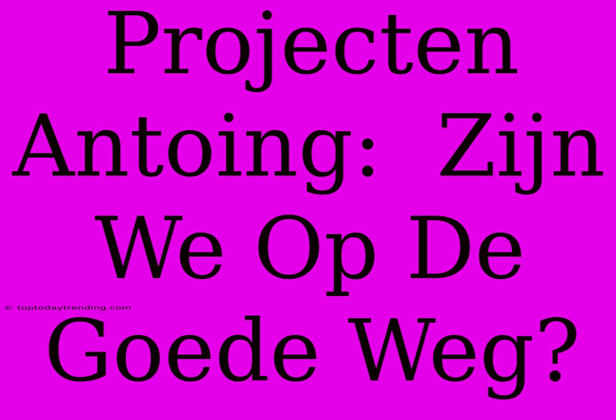 Projecten Antoing:  Zijn We Op De Goede Weg?