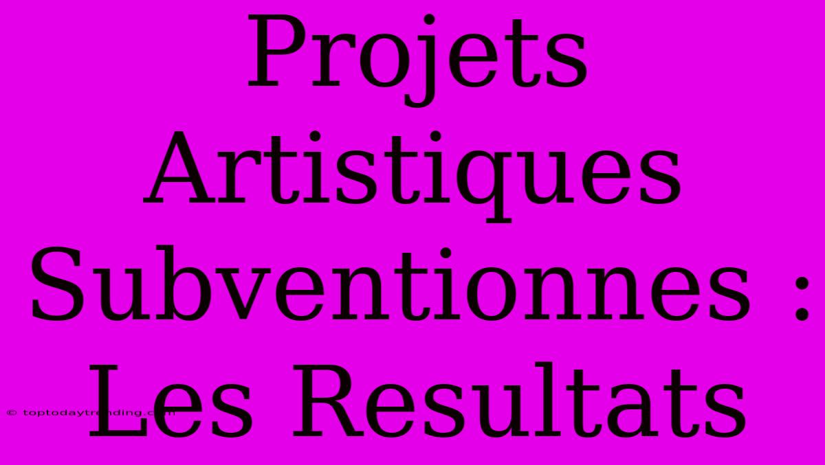 Projets Artistiques Subventionnes : Les Resultats