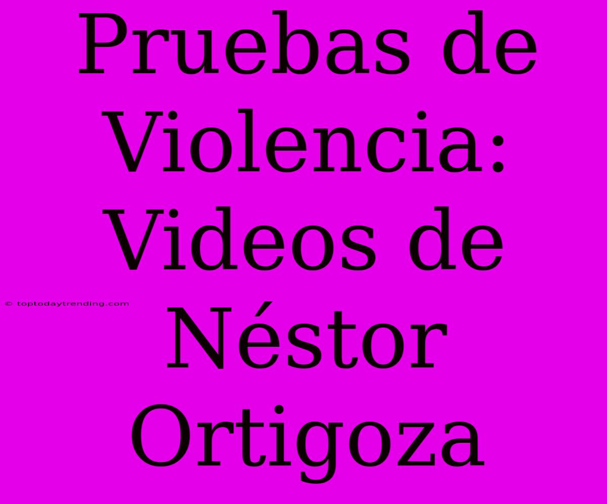 Pruebas De Violencia: Videos De Néstor Ortigoza