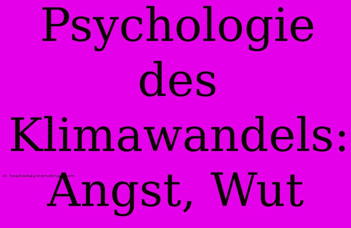 Psychologie Des Klimawandels: Angst, Wut