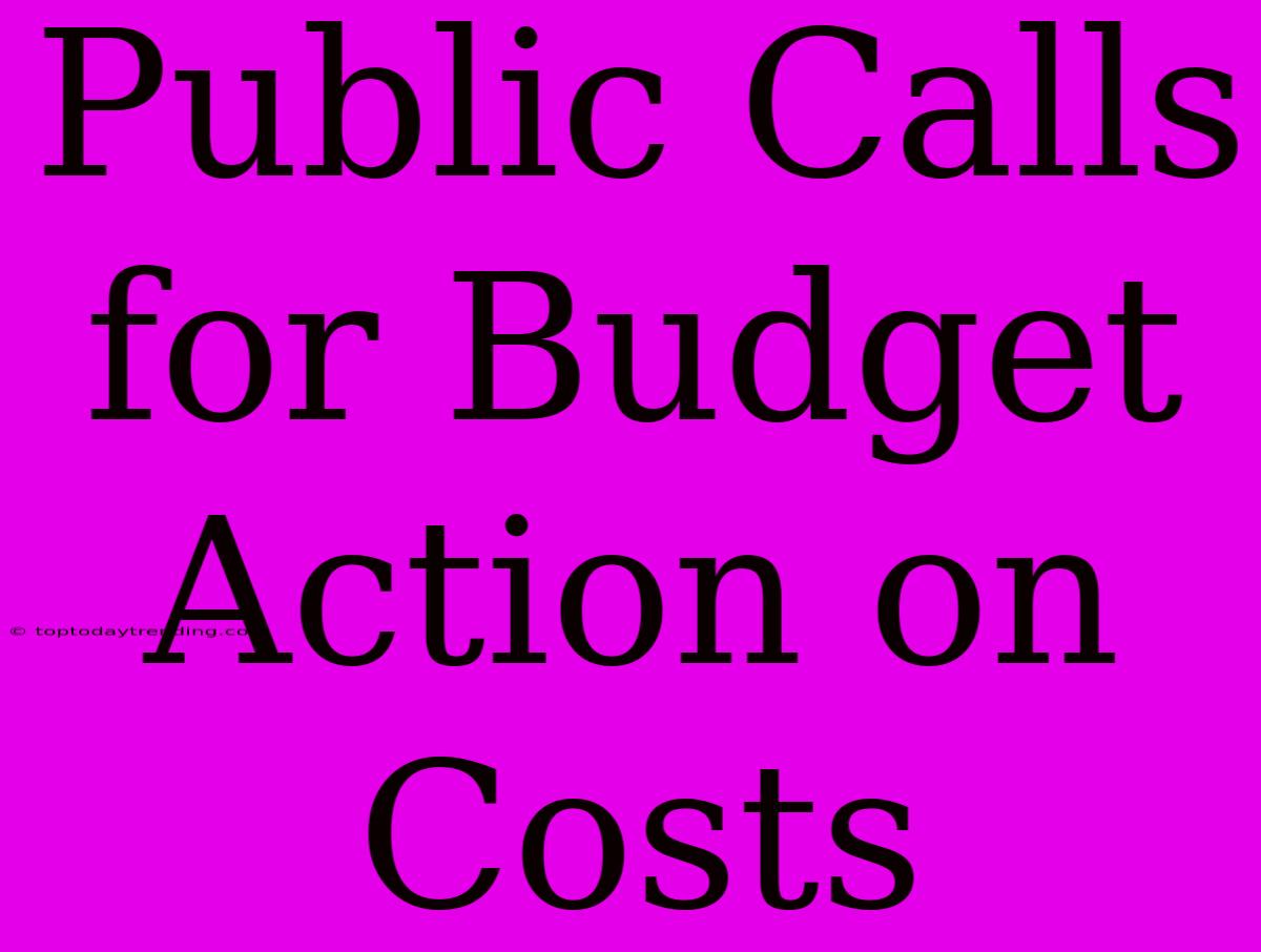 Public Calls For Budget Action On Costs