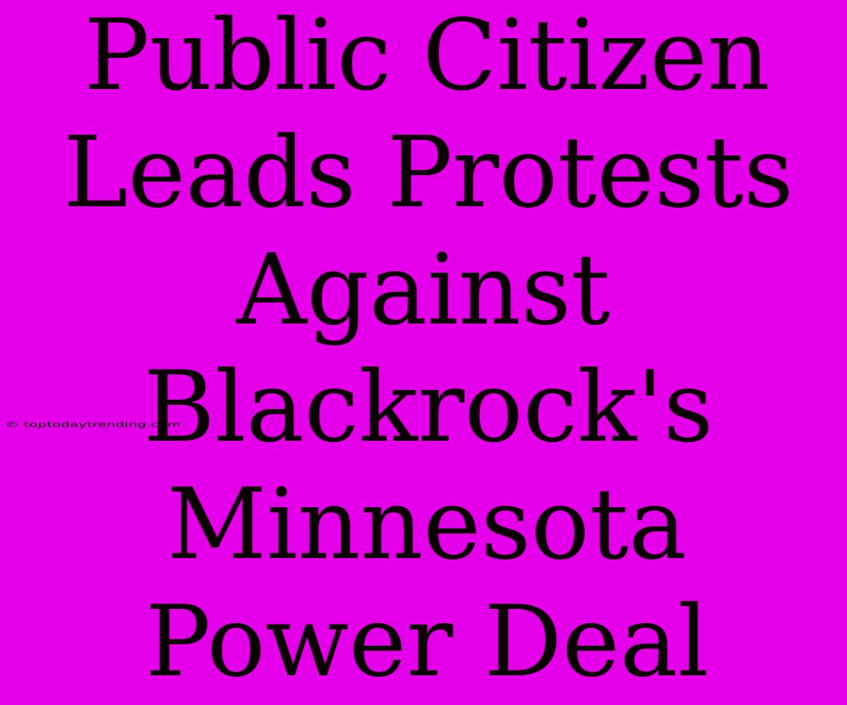 Public Citizen Leads Protests Against Blackrock's Minnesota Power Deal