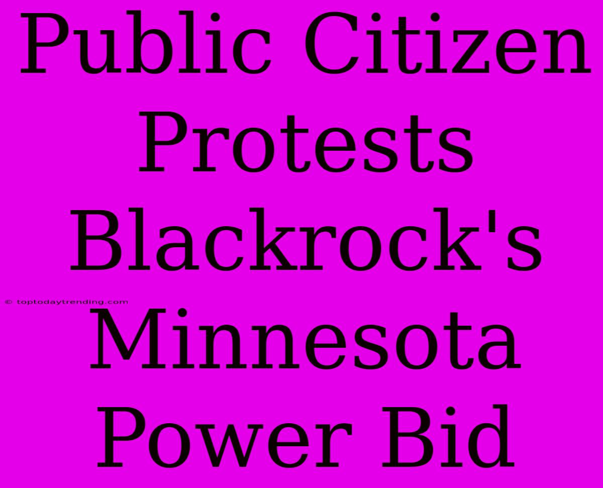 Public Citizen Protests Blackrock's Minnesota Power Bid