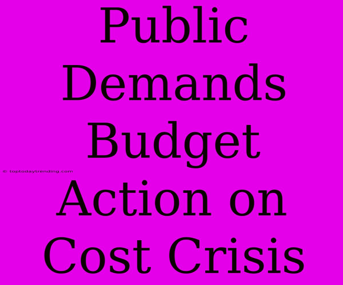 Public Demands Budget Action On Cost Crisis