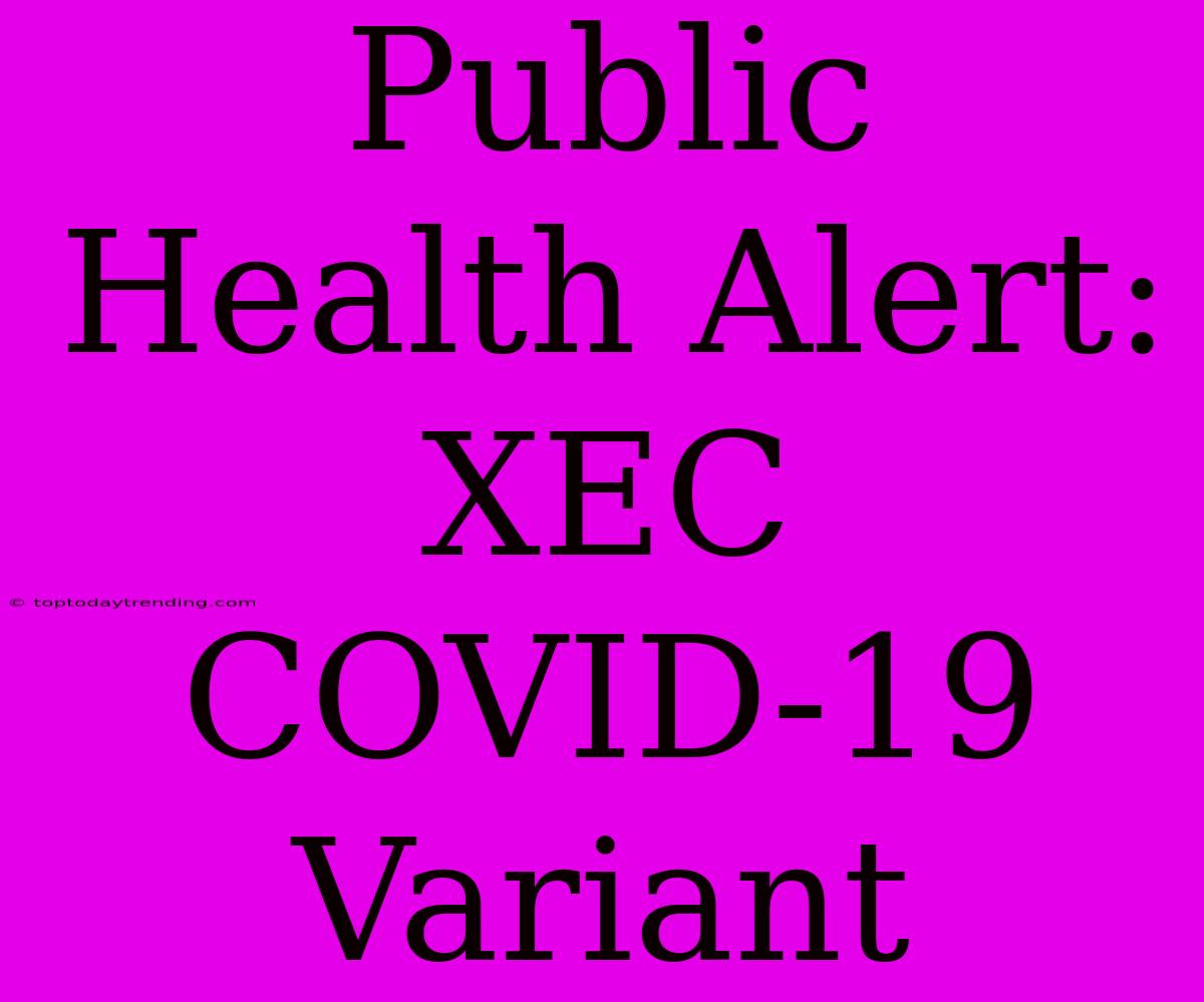 Public Health Alert: XEC COVID-19 Variant