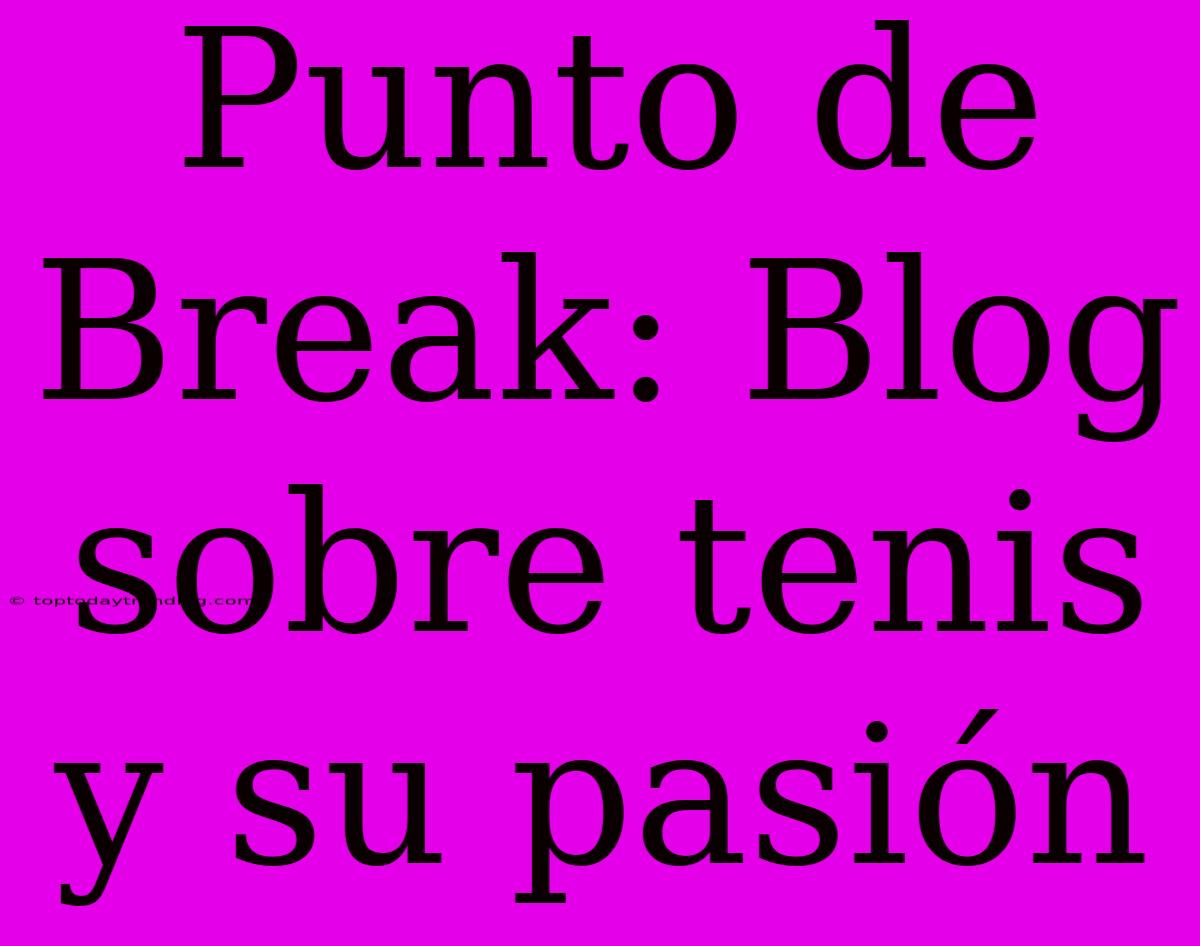 Punto De Break: Blog Sobre Tenis Y Su Pasión