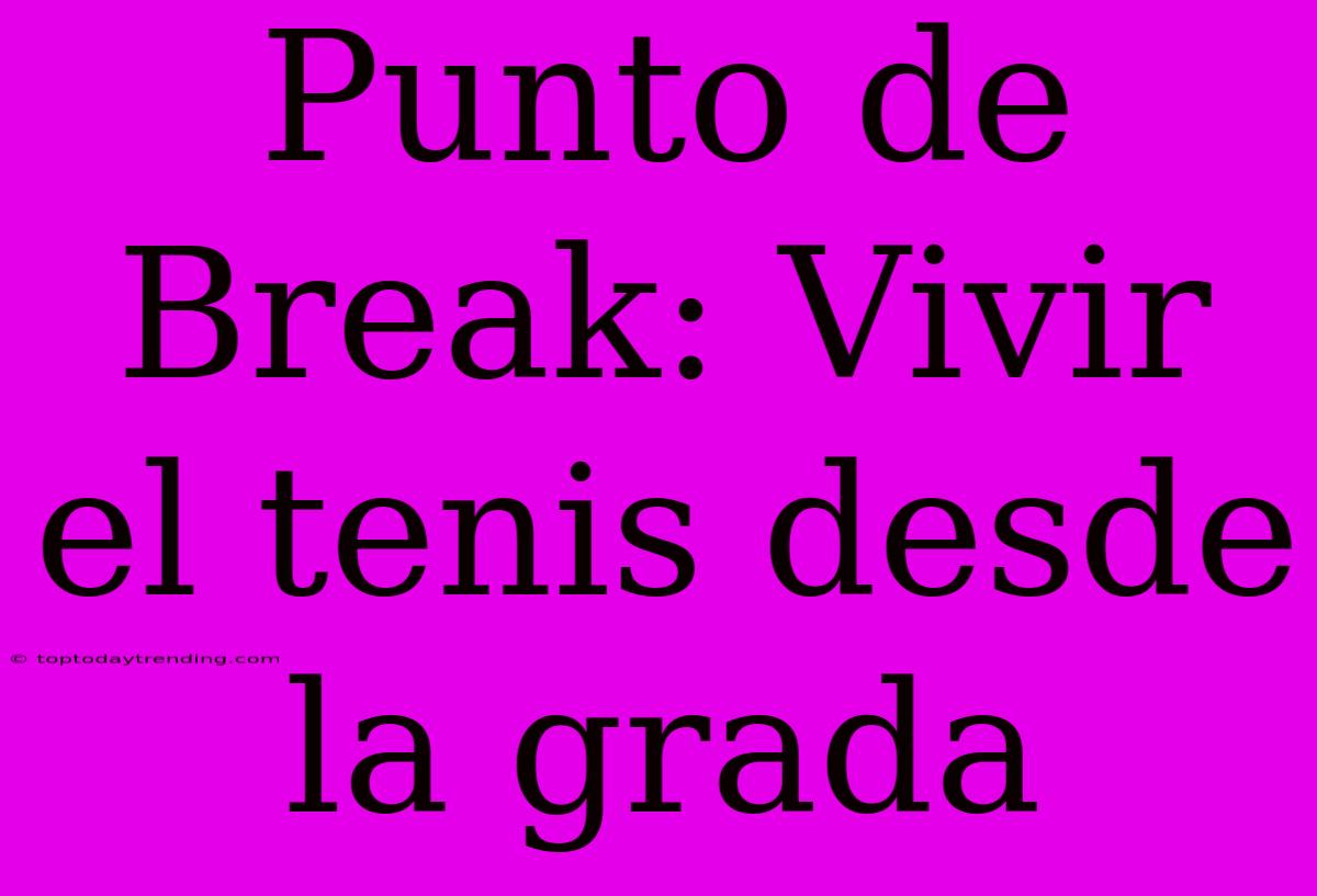 Punto De Break: Vivir El Tenis Desde La Grada