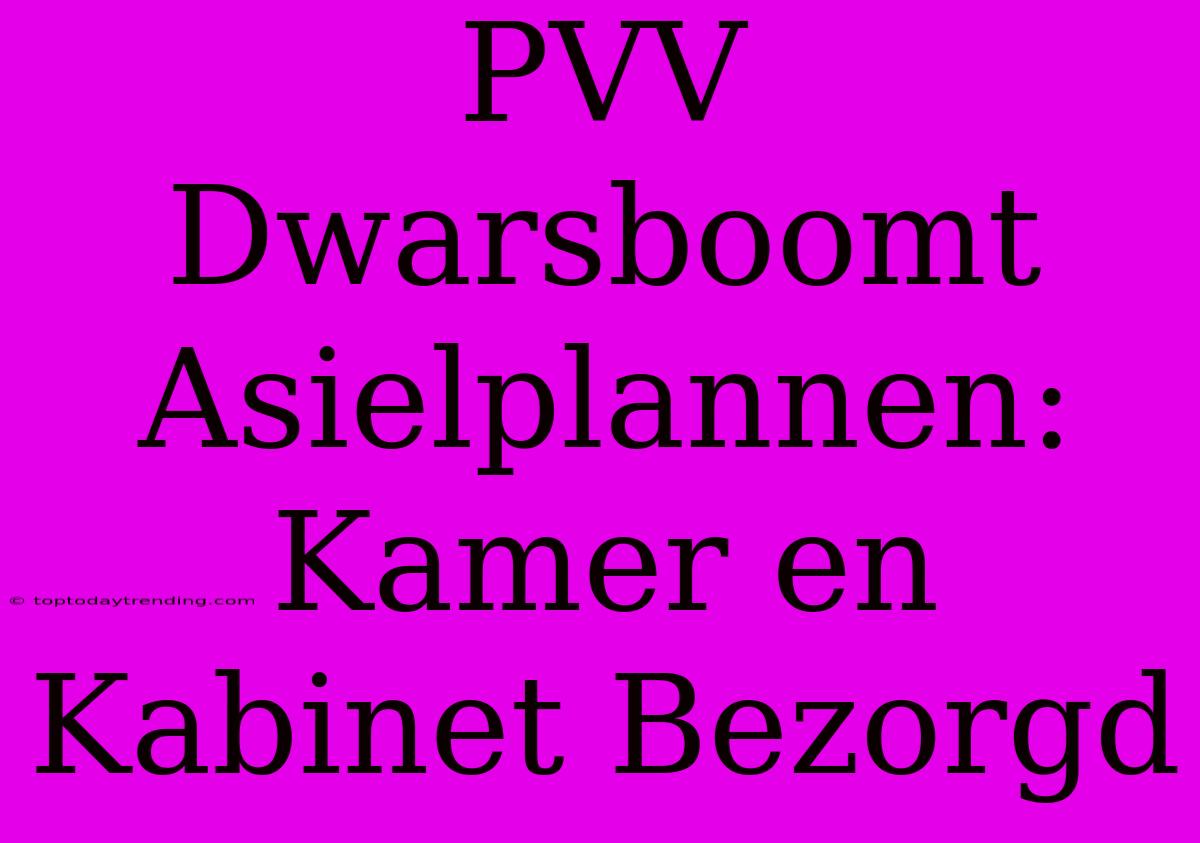 PVV Dwarsboomt Asielplannen: Kamer En Kabinet Bezorgd