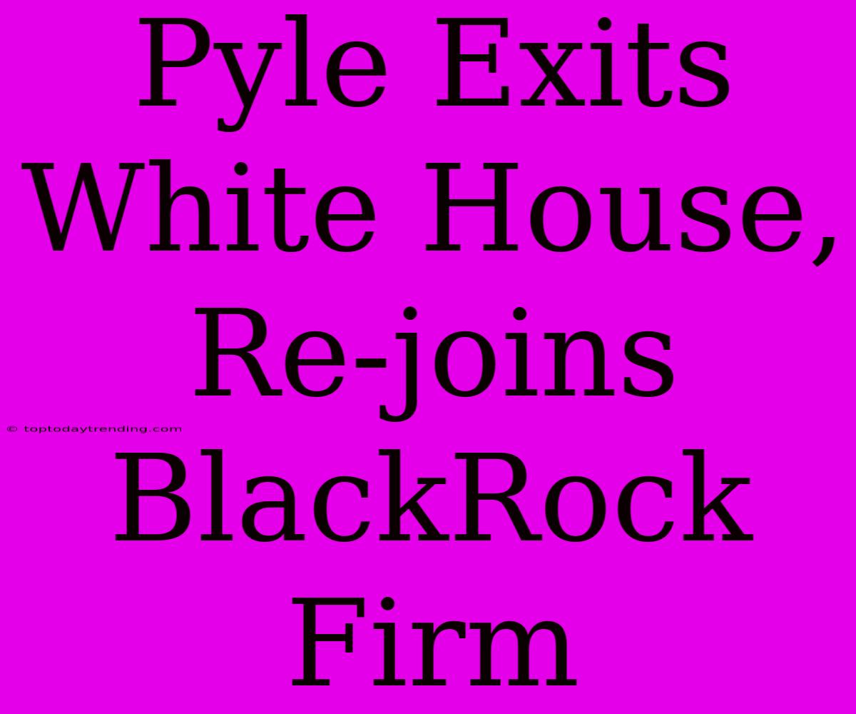 Pyle Exits White House, Re-joins BlackRock Firm