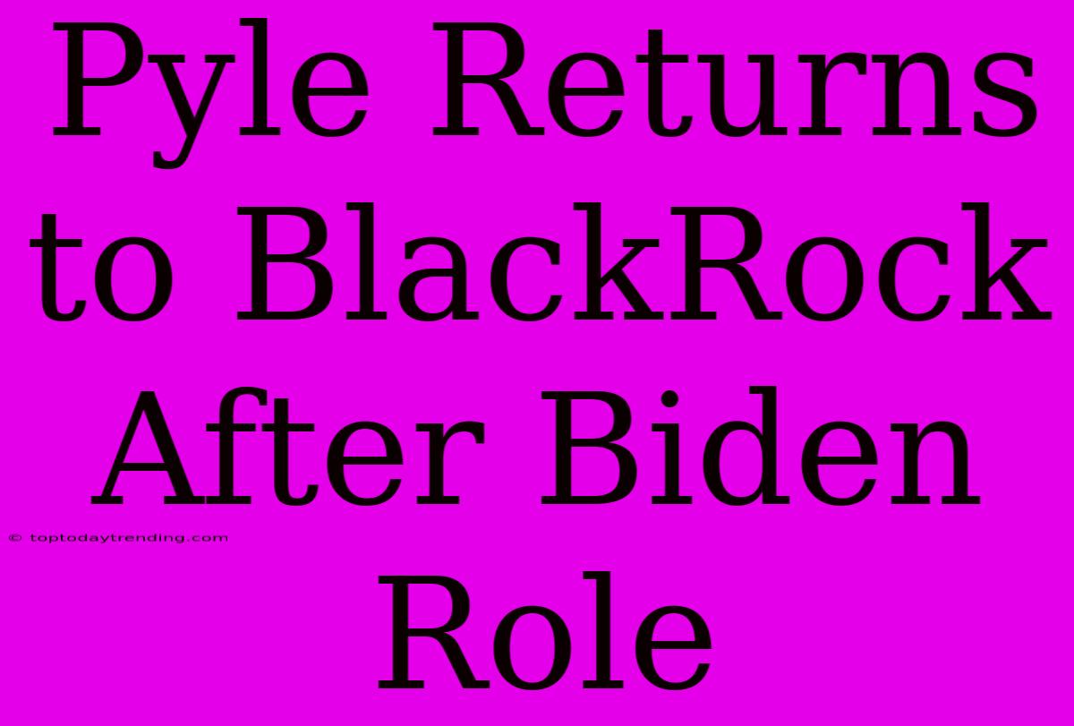 Pyle Returns To BlackRock After Biden Role