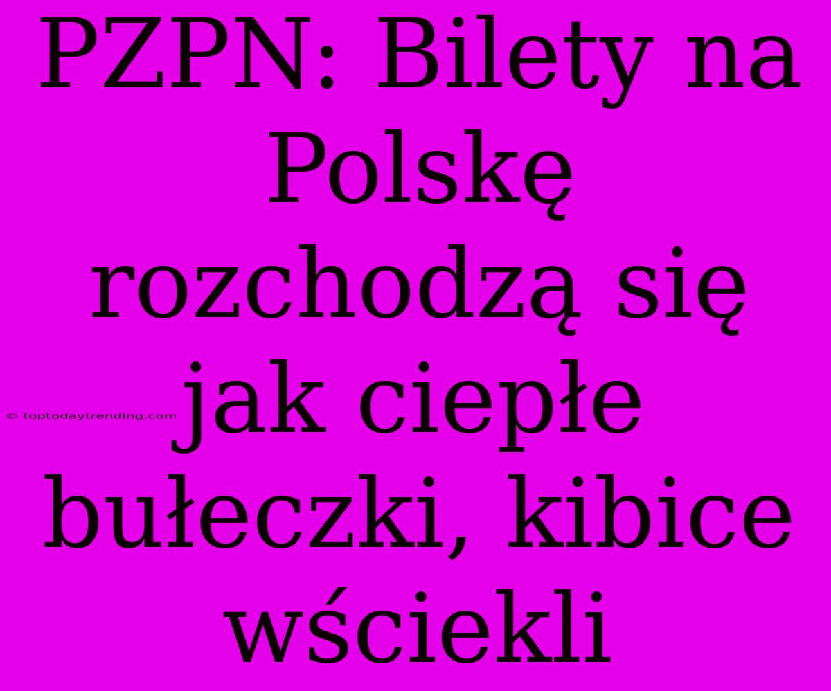 PZPN: Bilety Na Polskę Rozchodzą Się Jak Ciepłe Bułeczki, Kibice Wściekli