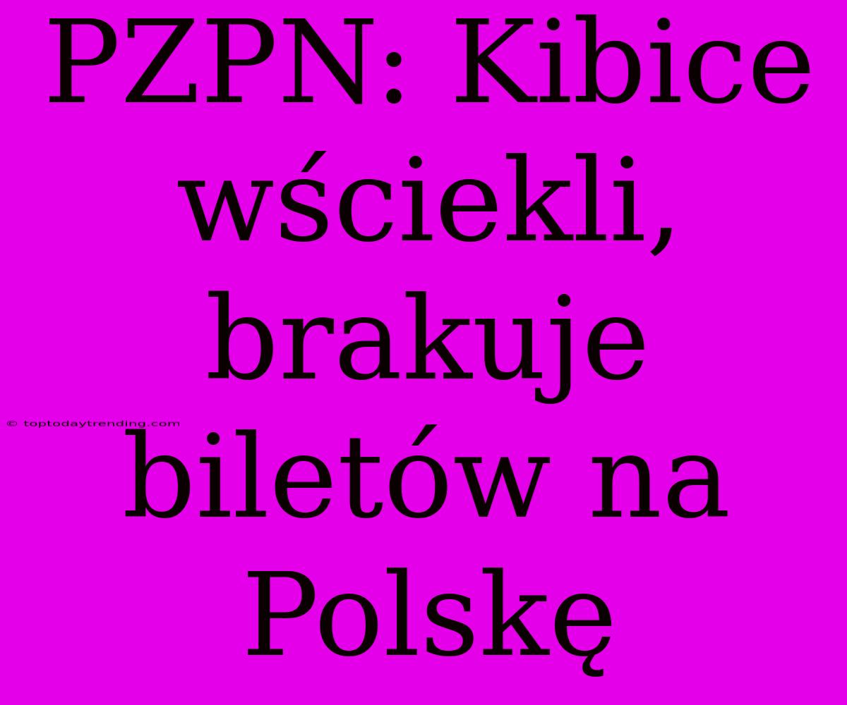 PZPN: Kibice Wściekli, Brakuje Biletów Na Polskę