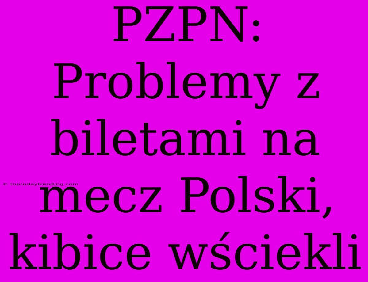 PZPN: Problemy Z Biletami Na Mecz Polski, Kibice Wściekli