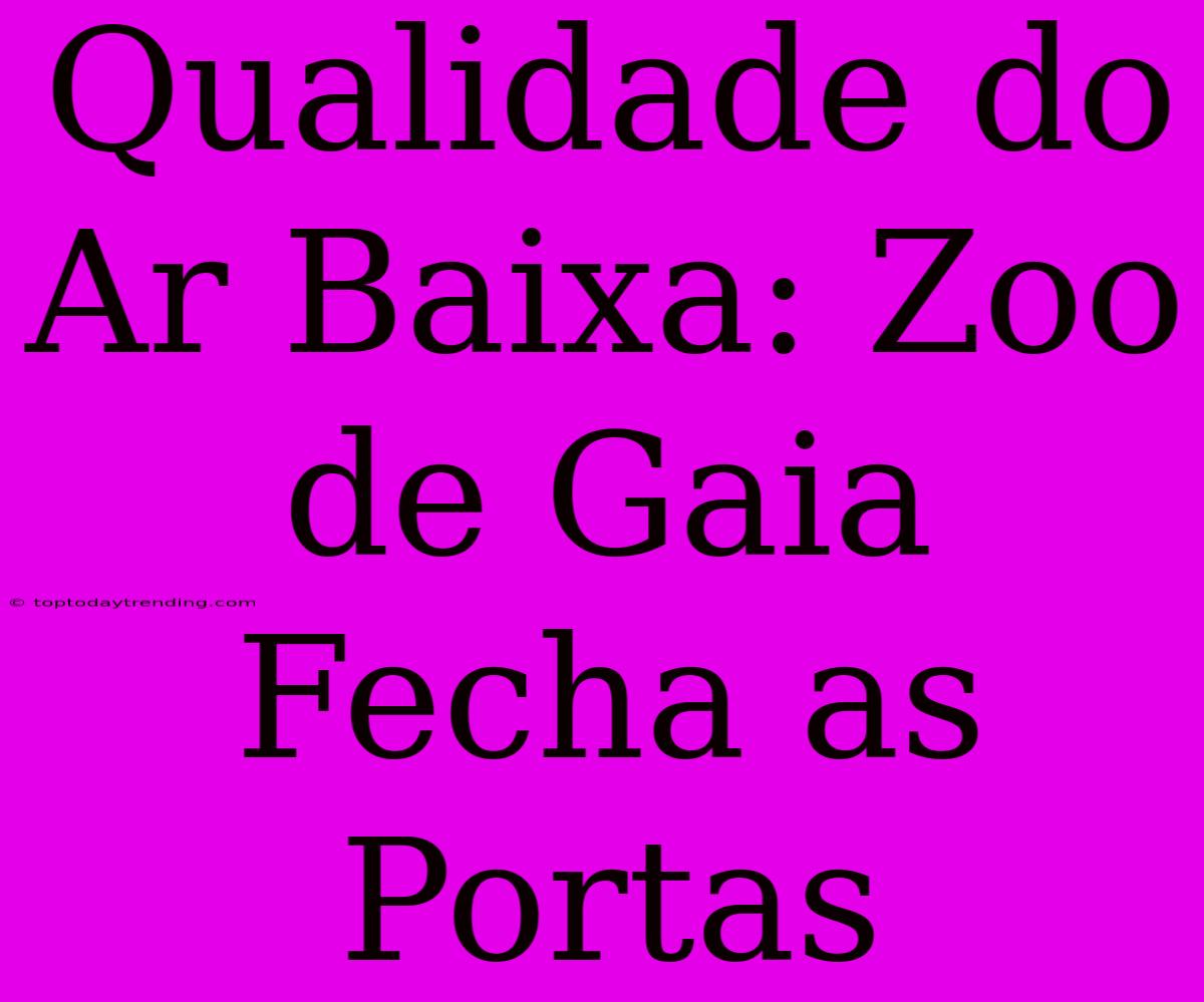 Qualidade Do Ar Baixa: Zoo De Gaia Fecha As Portas