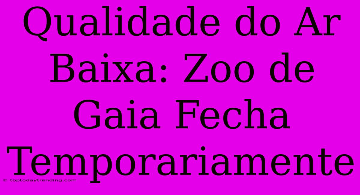 Qualidade Do Ar Baixa: Zoo De Gaia Fecha Temporariamente