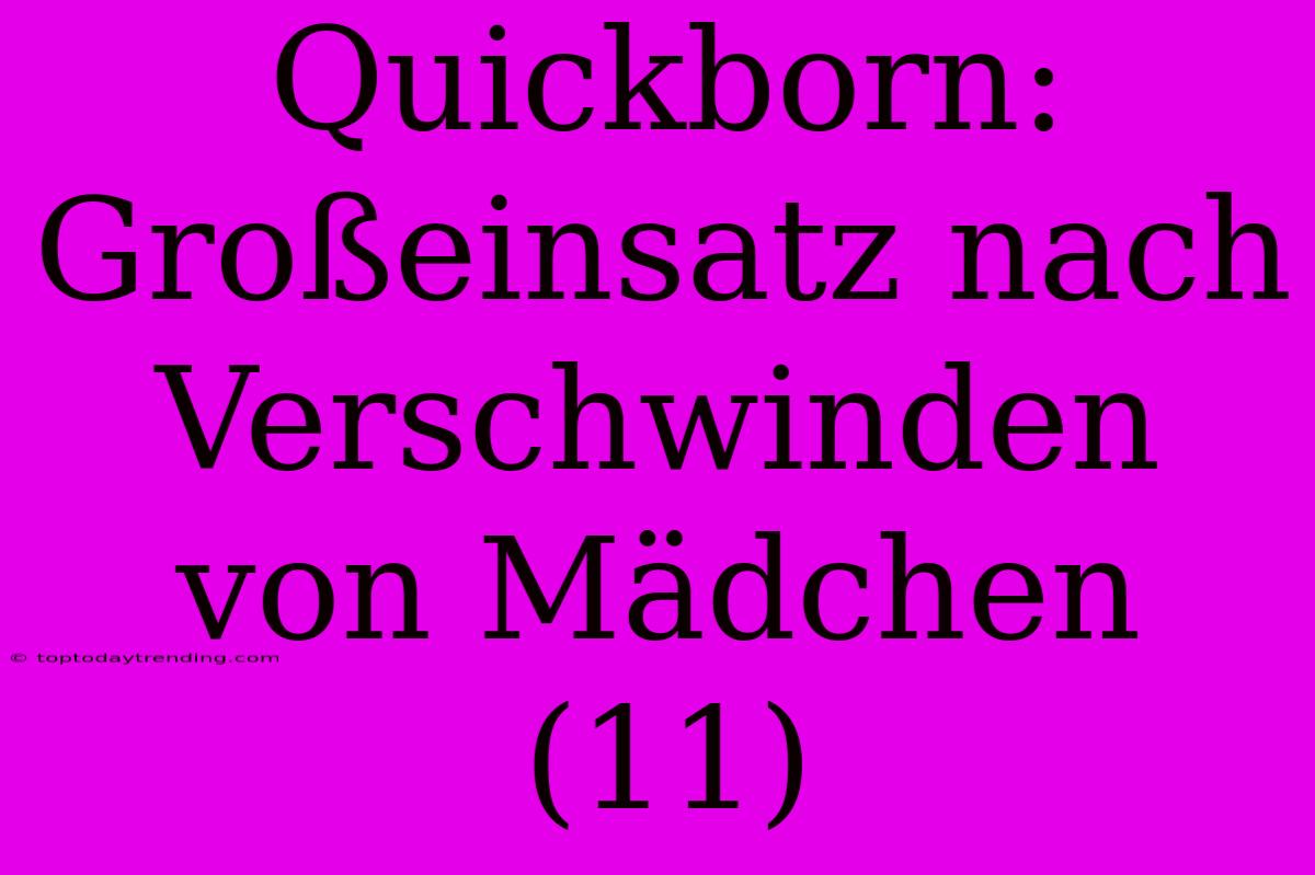 Quickborn: Großeinsatz Nach Verschwinden Von Mädchen (11)