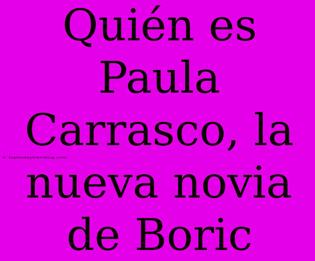 Quién Es Paula Carrasco, La Nueva Novia De Boric