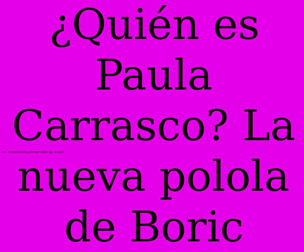 ¿Quién Es Paula Carrasco? La Nueva Polola De Boric