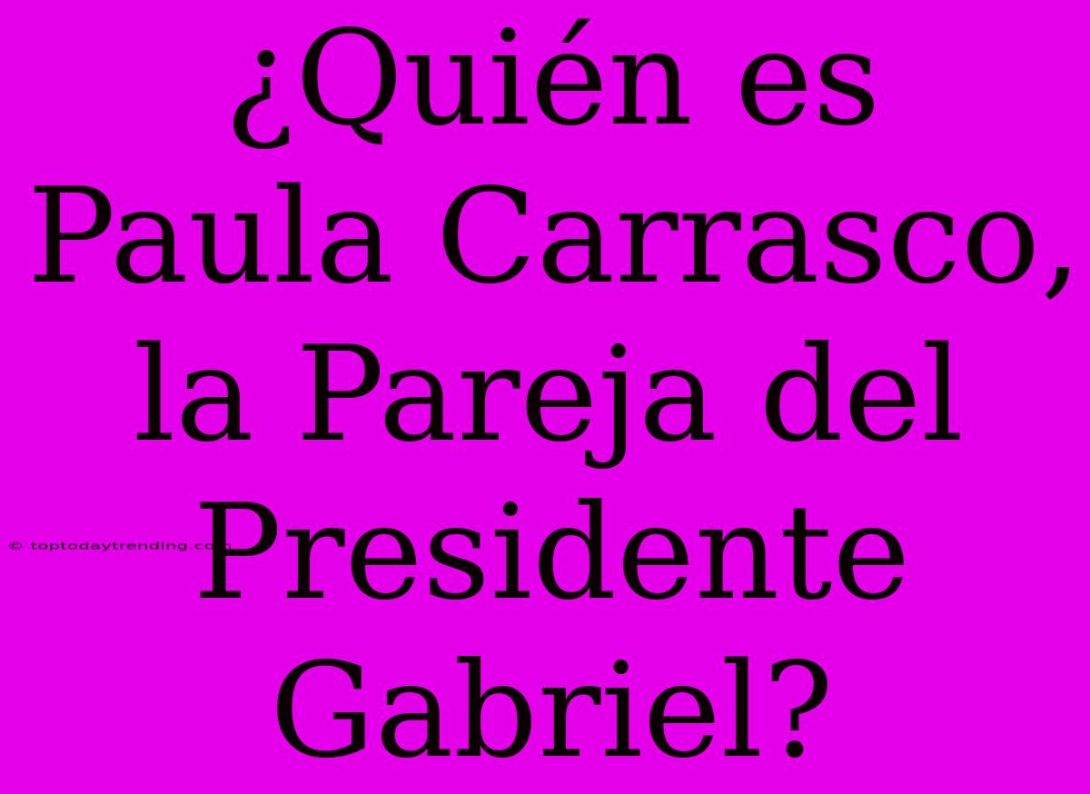 ¿Quién Es Paula Carrasco, La Pareja Del Presidente Gabriel?