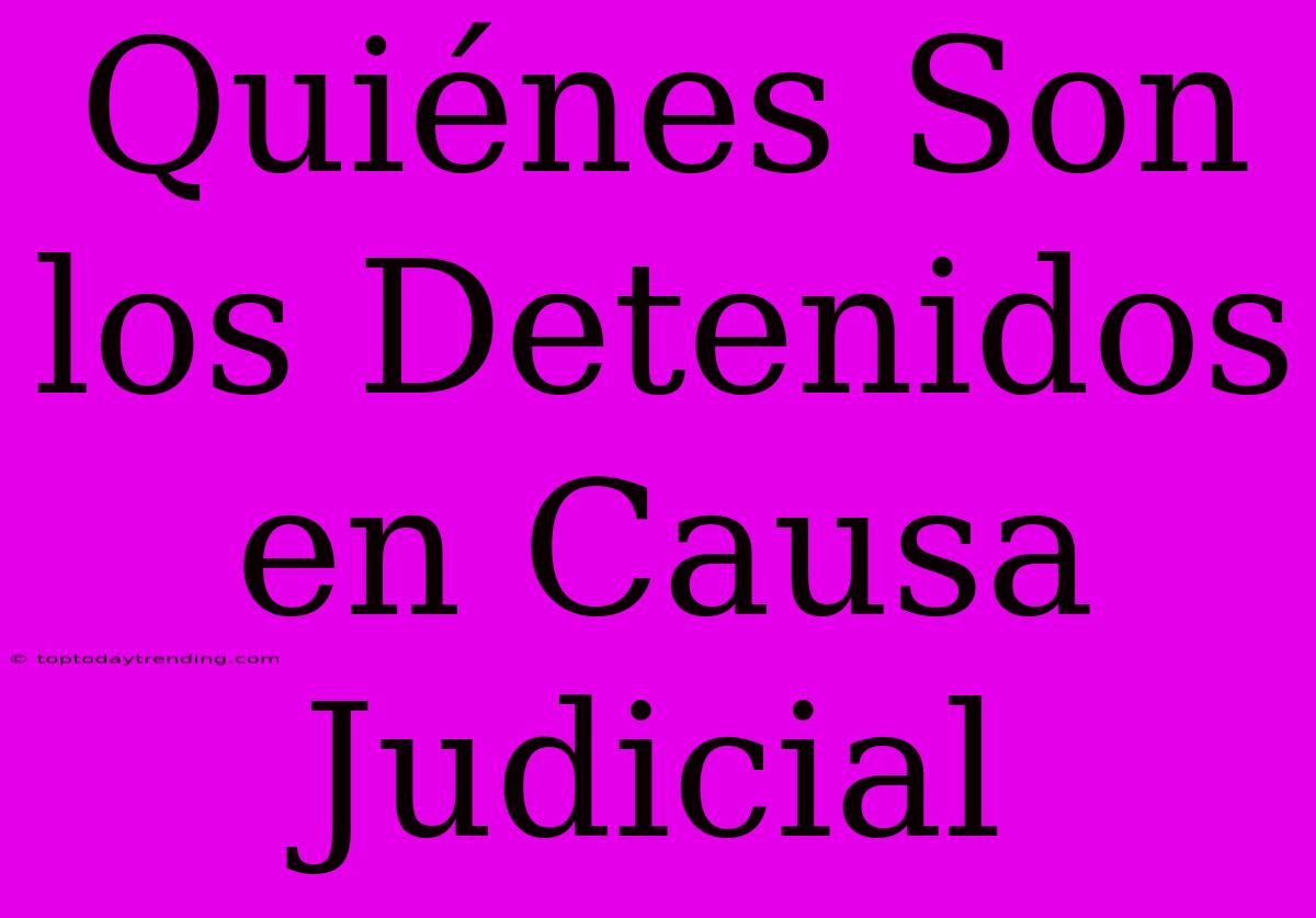 Quiénes Son Los Detenidos En Causa Judicial