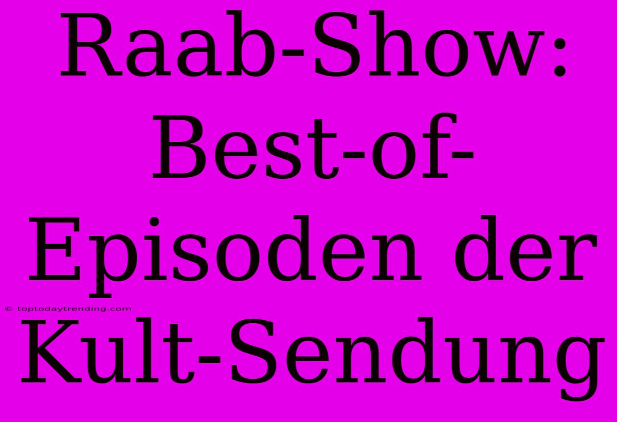 Raab-Show: Best-of-Episoden Der Kult-Sendung