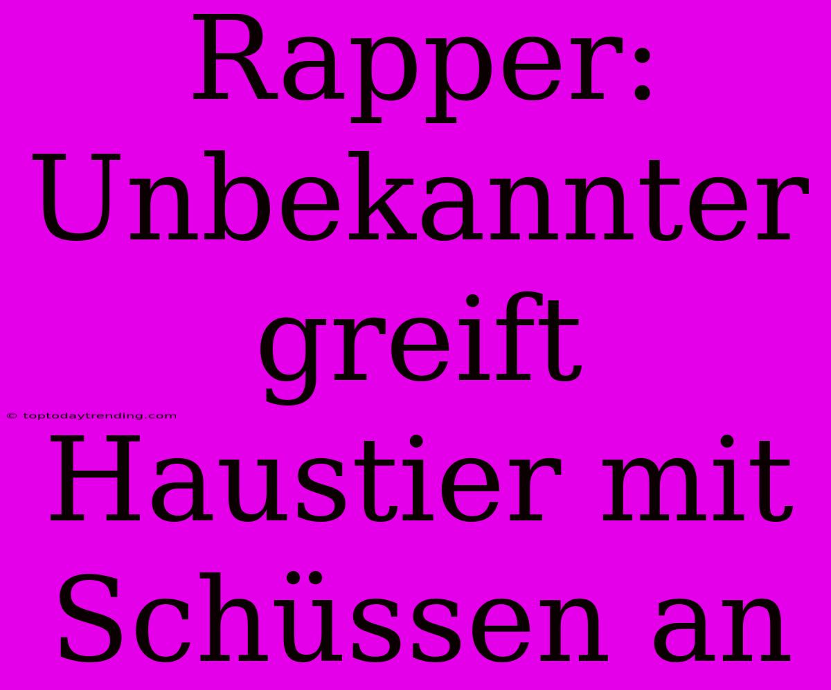 Rapper: Unbekannter Greift Haustier Mit Schüssen An