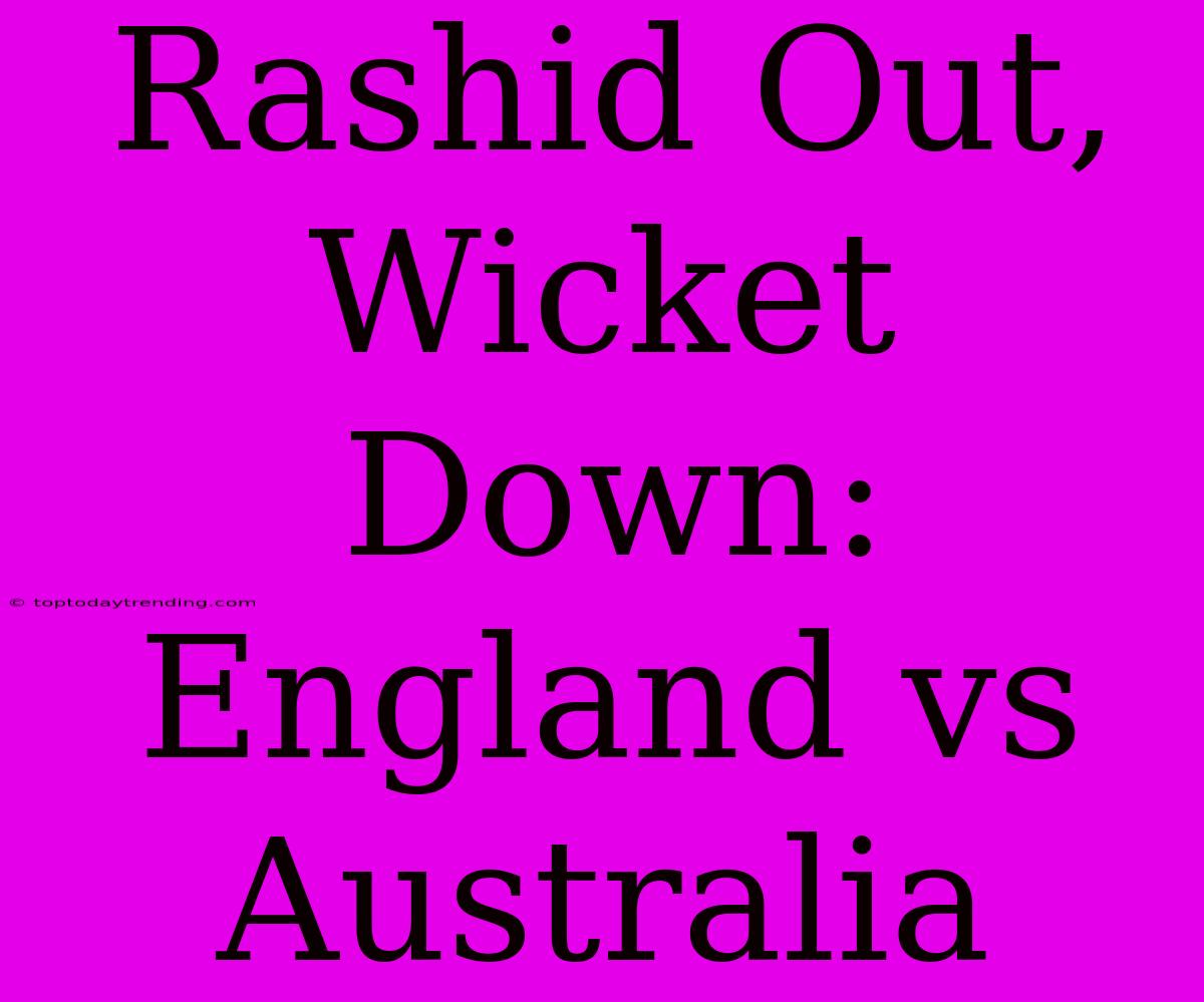 Rashid Out, Wicket Down: England Vs Australia