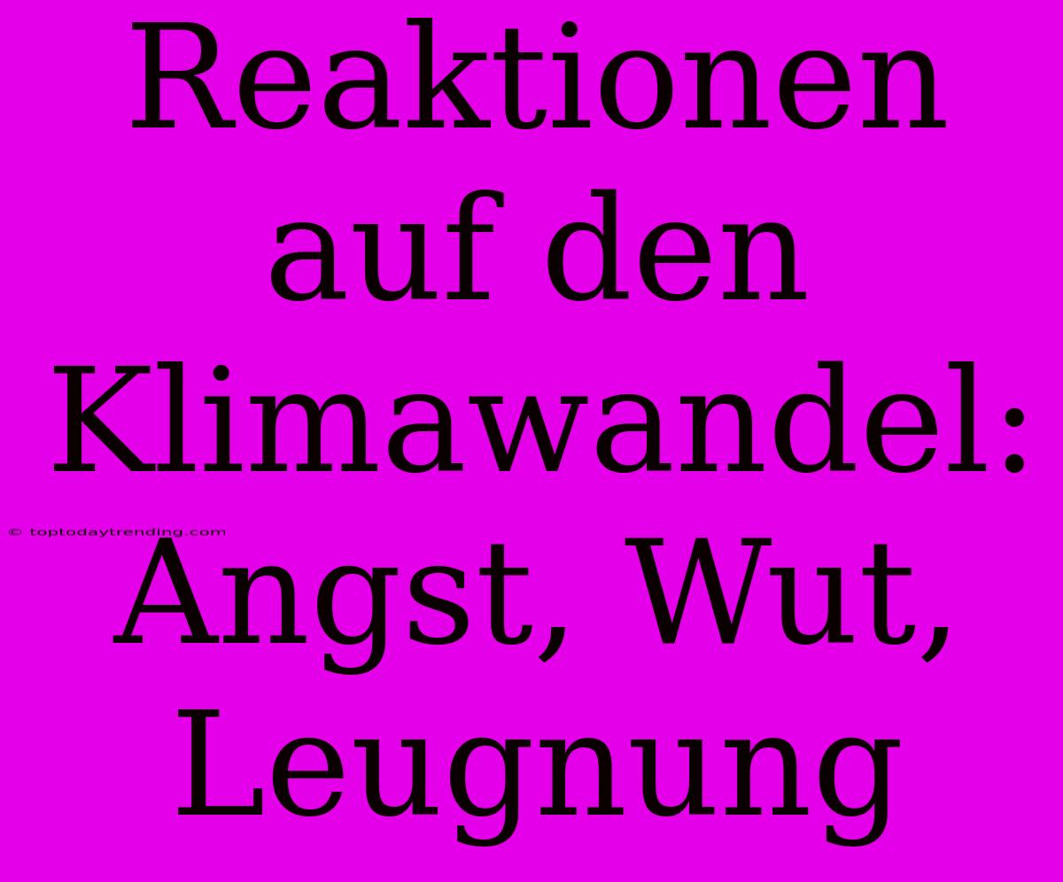 Reaktionen Auf Den Klimawandel: Angst, Wut, Leugnung