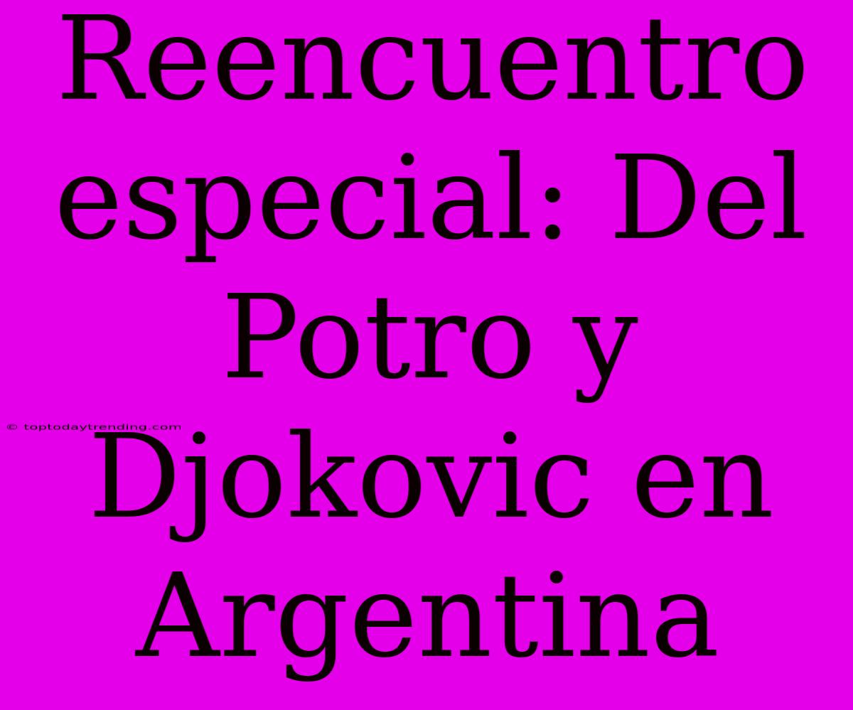 Reencuentro Especial: Del Potro Y Djokovic En Argentina