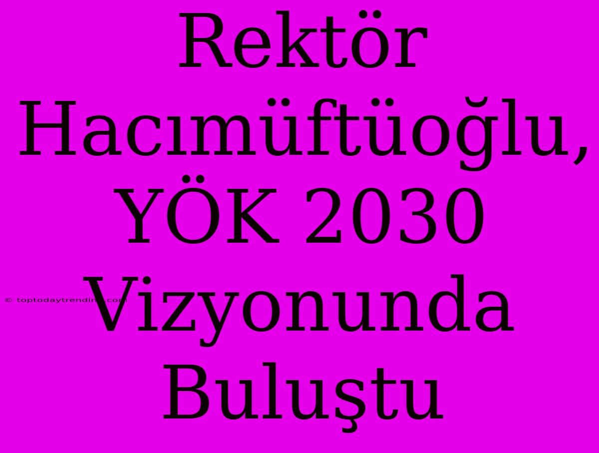 Rektör Hacımüftüoğlu, YÖK 2030 Vizyonunda Buluştu