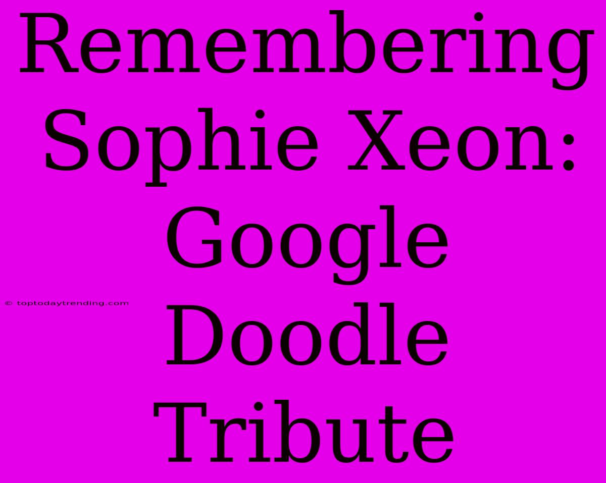 Remembering Sophie Xeon: Google Doodle Tribute