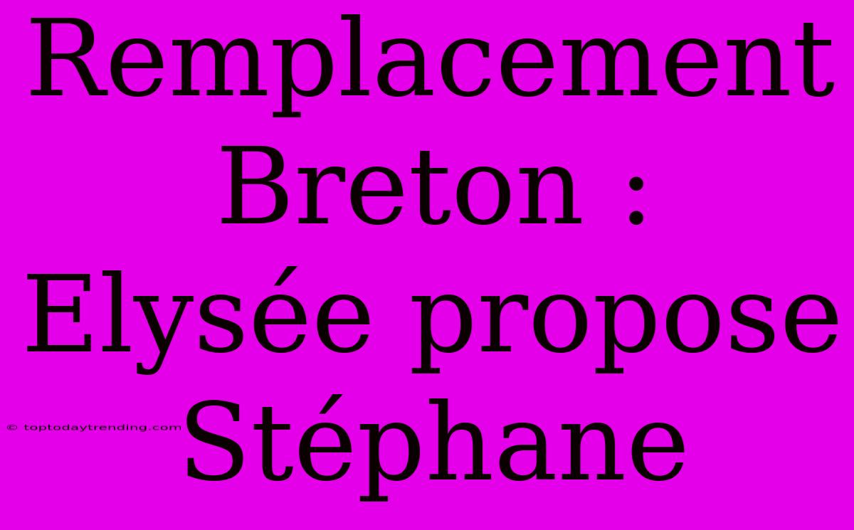 Remplacement Breton : Elysée Propose Stéphane