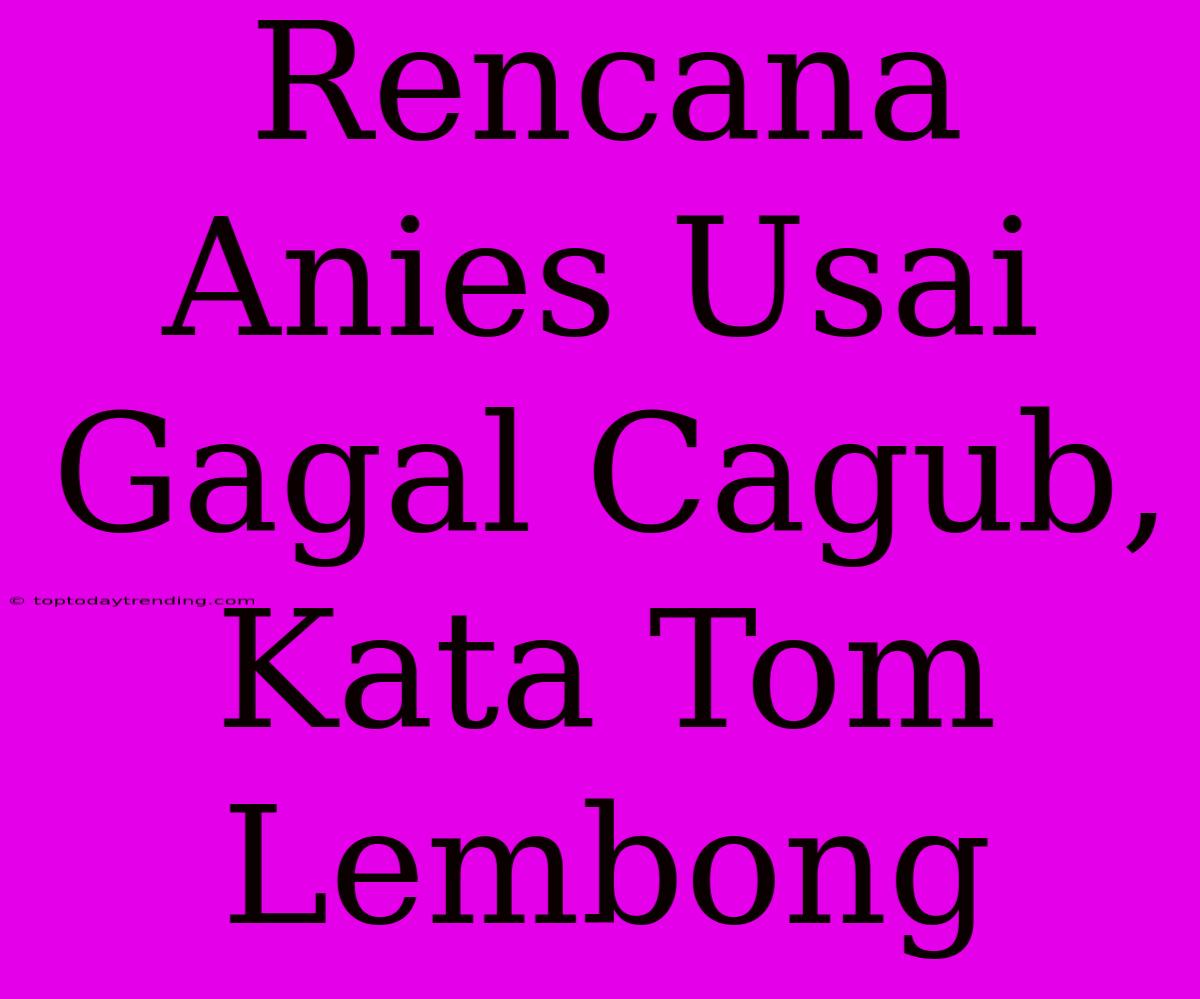 Rencana Anies Usai Gagal Cagub, Kata Tom Lembong