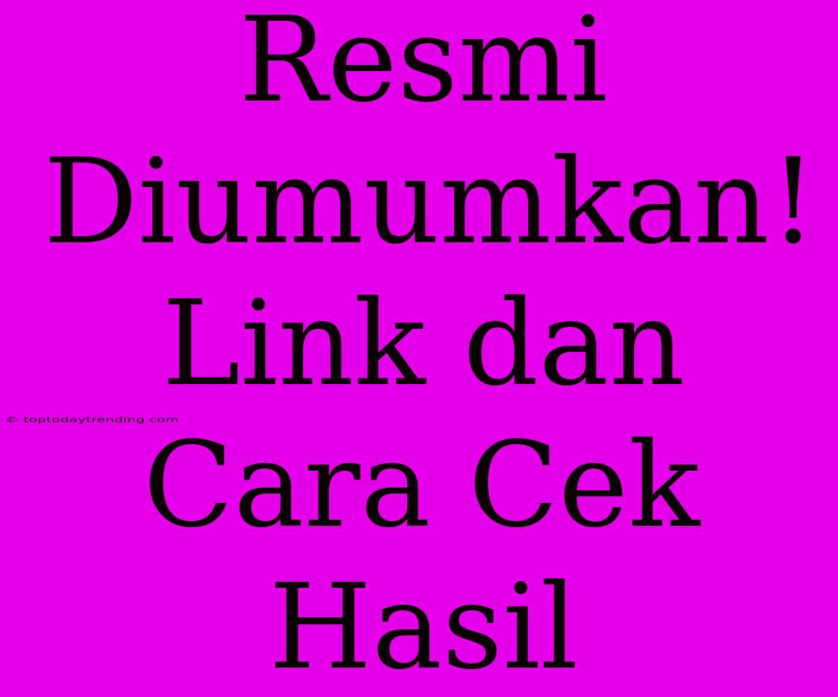 Resmi Diumumkan! Link Dan Cara Cek Hasil