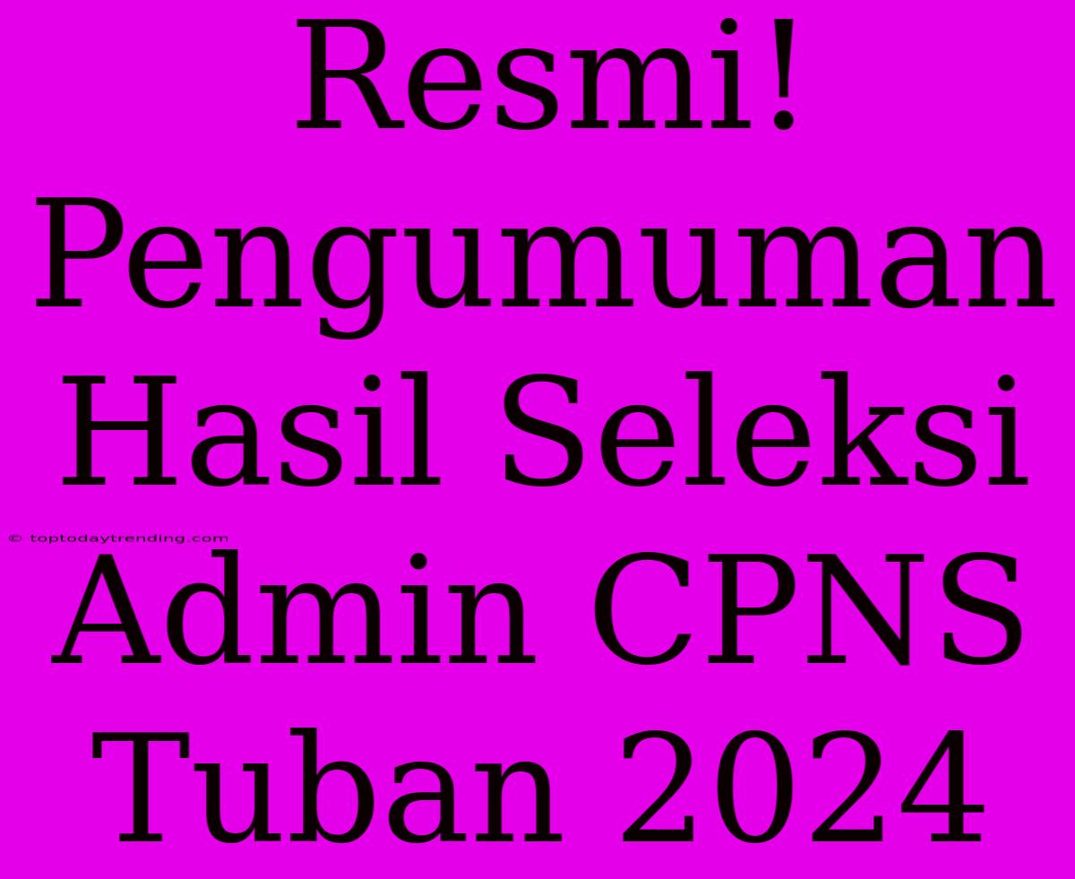 Resmi! Pengumuman Hasil Seleksi Admin CPNS Tuban 2024