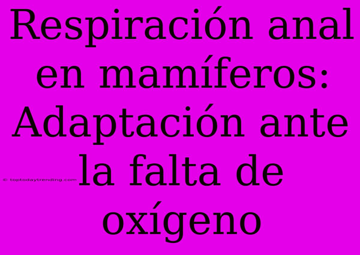 Respiración Anal En Mamíferos: Adaptación Ante La Falta De Oxígeno