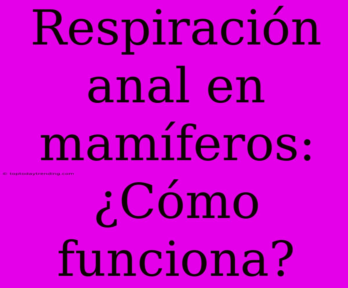 Respiración Anal En Mamíferos: ¿Cómo Funciona?