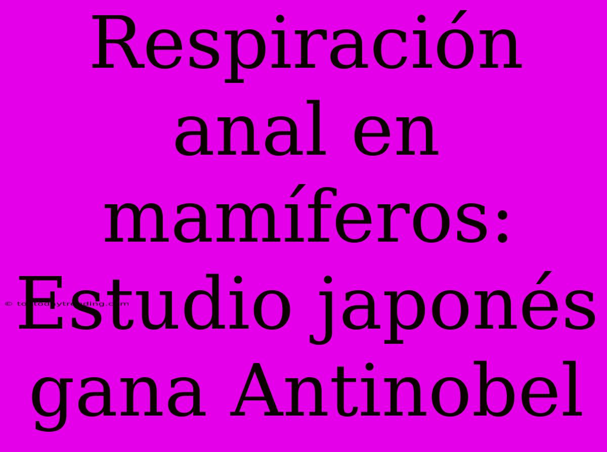 Respiración Anal En Mamíferos: Estudio Japonés Gana Antinobel