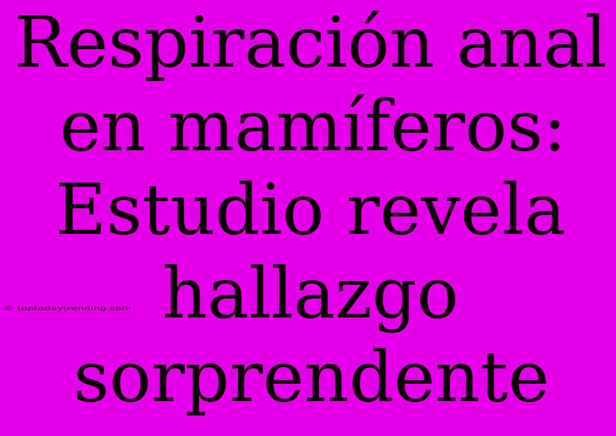 Respiración Anal En Mamíferos: Estudio Revela Hallazgo Sorprendente