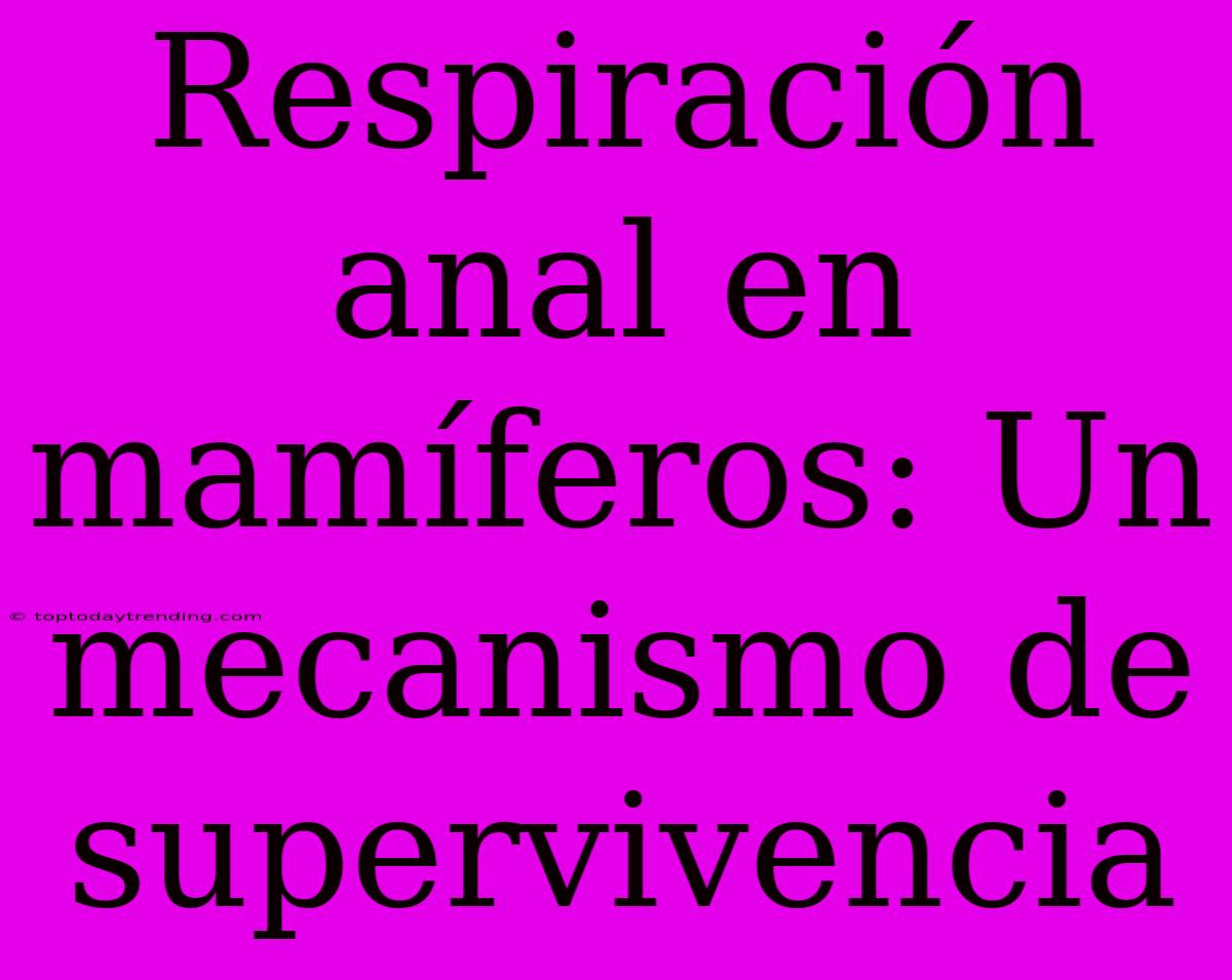 Respiración Anal En Mamíferos: Un Mecanismo De Supervivencia